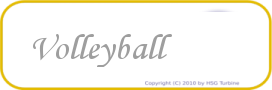 Volleyball
